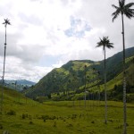 The Cocora valley. Never seen a scenery like this before