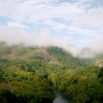I love the mystic fairy tale look of the Guatemalan forests...