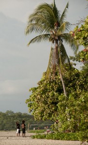 This guy climbed up the palm tree to pick some coconuts while his friends watch from below.